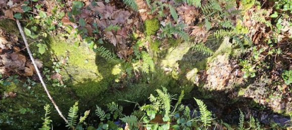 30550m² Land in Amarante, Portugal No. 56638 14