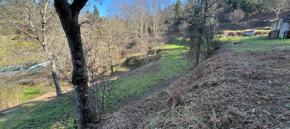 30550m² Land in Amarante, Portugal No. 56638 5