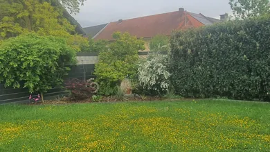 Дом с 1 спальней в Офтеринг, Австрия № 203921