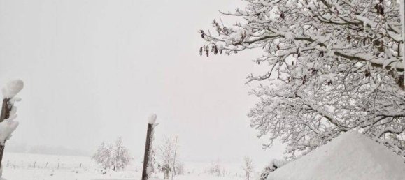 Дом с 1 спальней в Офтеринг, Австрия № 203921 18