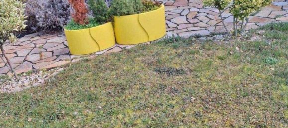 3 rooms House in Morbisch am See, Austria No. 167782 8