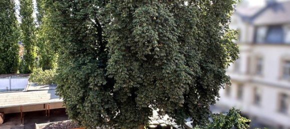 Apartamento T4 em Coburg, Germany N.º 69942 25