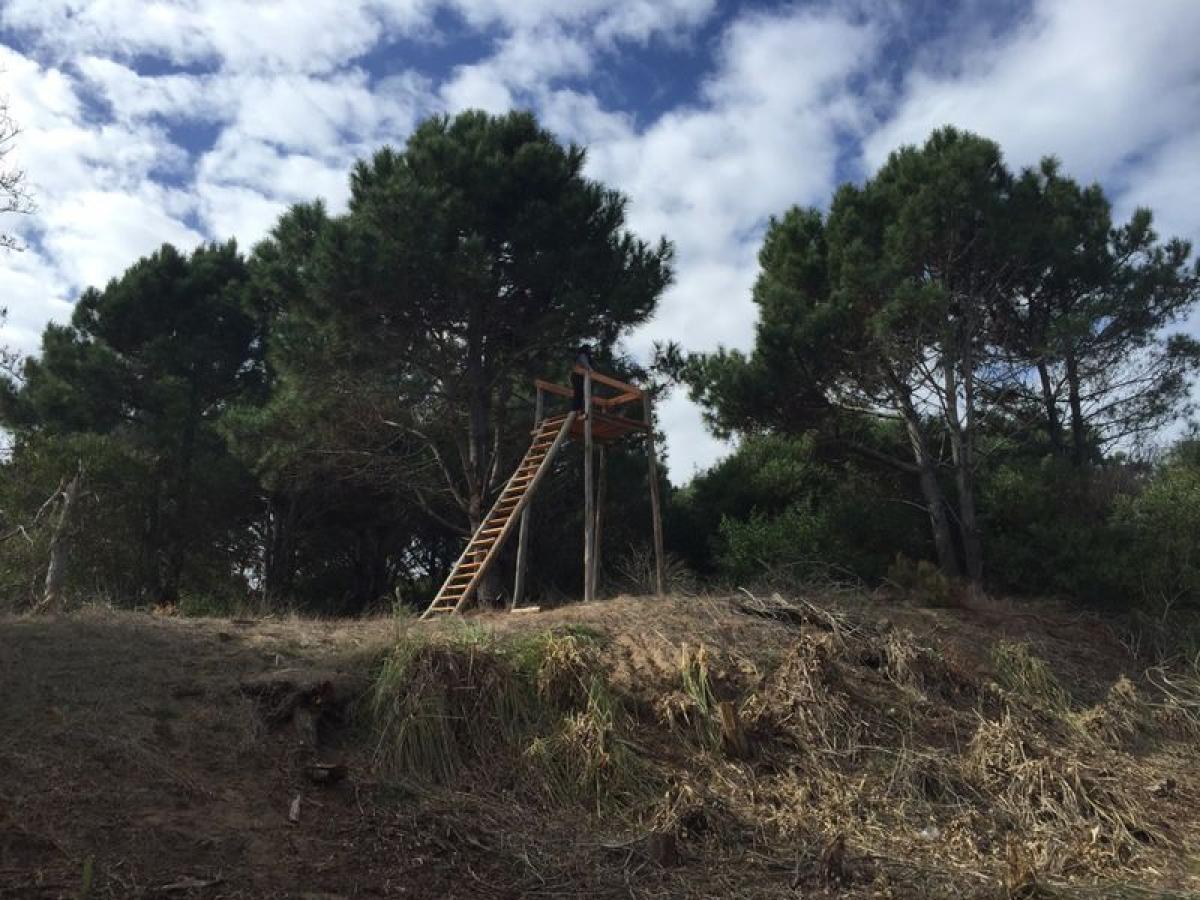 Terreno em Maldonado, Uruguay N.º 15449