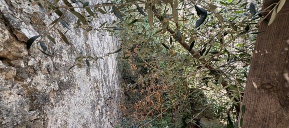 Grundstück in Loule, Portugal 50m², Nr. 325280 7