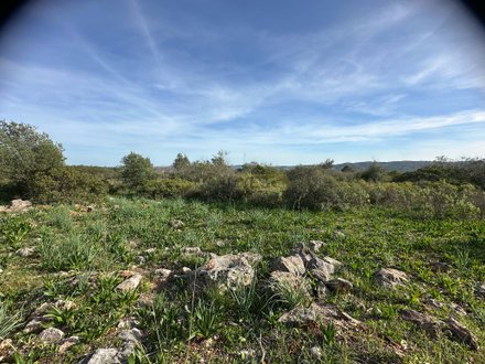  Land in Loule, Portugal No. 77395