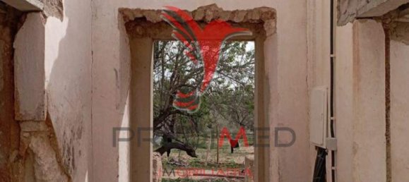 5 Schlafzimmer Haus in Silves, Portugal, Nr. 53514 4