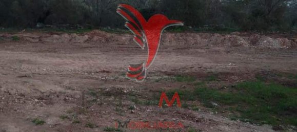 5 Schlafzimmer Haus in Silves, Portugal, Nr. 53514 7