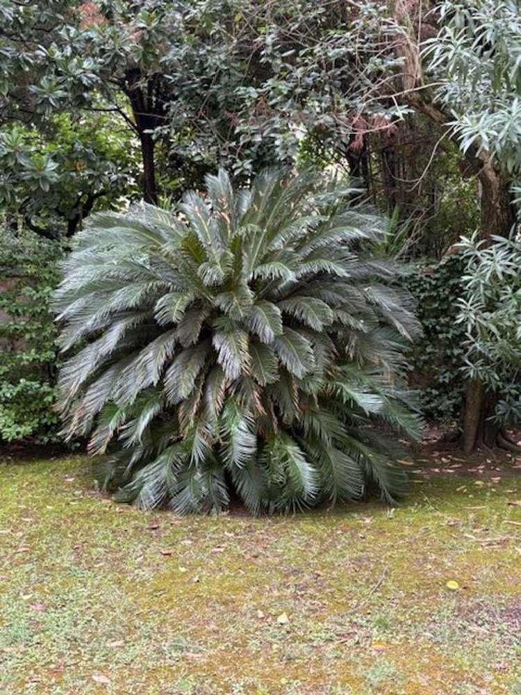 2 غرف نوم شقة في Florence, Italy رقم 347331