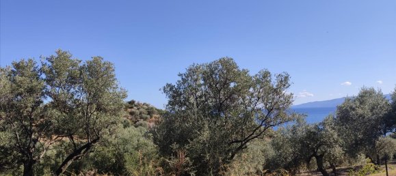 12750m² Hotel for sale in Chalkidiki, Central Macedonia, Macedonia and Thrace, Greece № 4060 3
