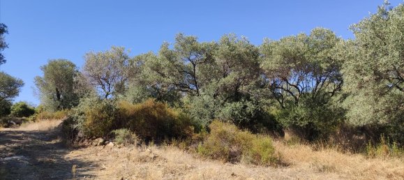 12750m² Hotel in Chalkidiki, Greece No. 4060 2