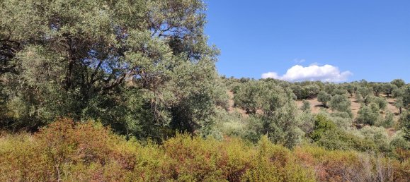 12750m² Hotel in Chalkidiki, Greece No. 4060 5