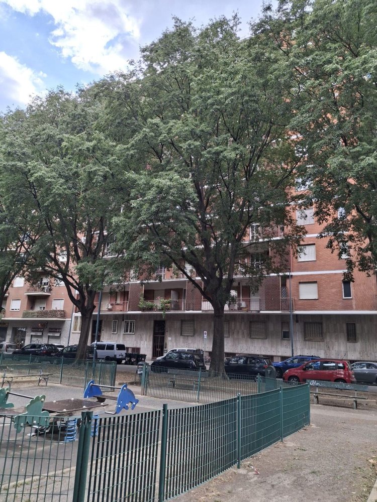 Apartamento de 3 dormitorios en Parella, Italy No. 313771