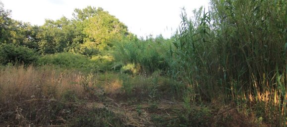 7000m² Hotel in Corfu, Greece No. 6136 2