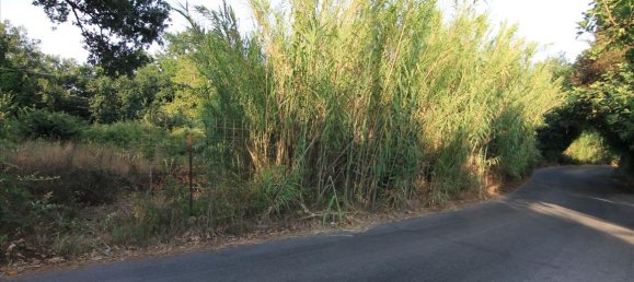 7000m² Hotel in Corfu, Greece No. 6136 5