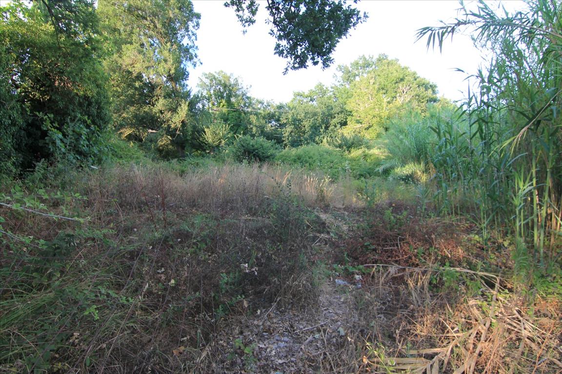 7000m² Hotel in Corfu, Greece No. 6136