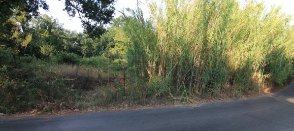 7000m² Hotel in Corfu, Greece No. 6136 4