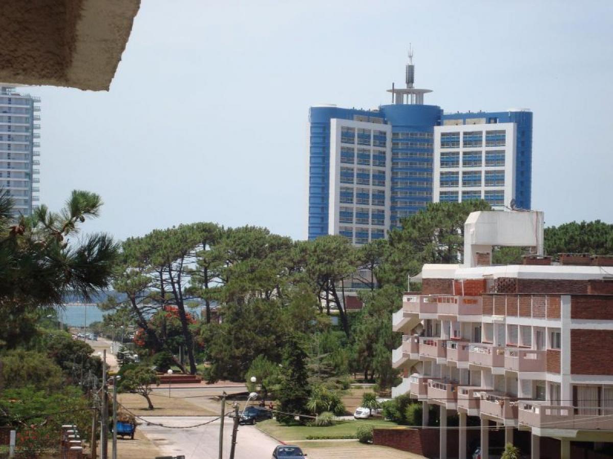 استوديو في Maldonado, Uruguay رقم 10557