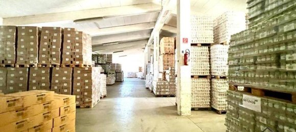  Warehouse in Arnoldstein, Austria No. 44577 13