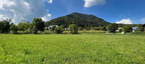  Warehouse in Arnoldstein, Austria No. 44577 16