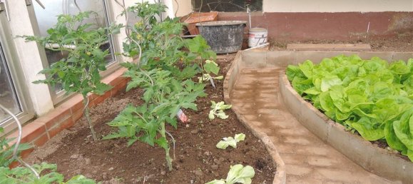 4 bedrooms Farm in Rhineland-Palatinate, Germany No. 152999 7