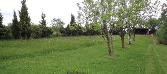 4 bedrooms Farm in Rhineland-Palatinate, Germany No. 152999 8