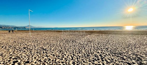 3 bedrooms Apartment in Alicante, Spain No. 125381 29