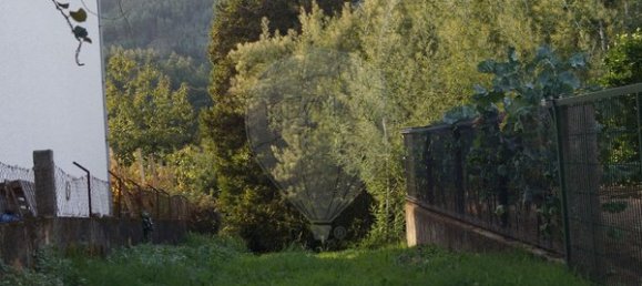 Terreno en Tondela, Portugal 1800 m² No. 83125 7