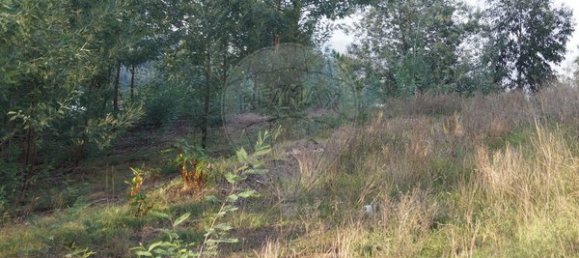 Terreno en Tondela, Portugal 1800 m² No. 83125 6