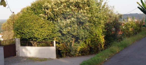 Terreno en Tondela, Portugal 1800 m² No. 83125 11