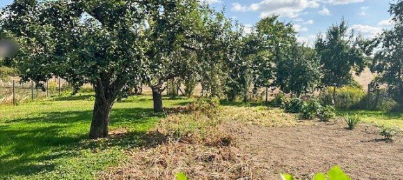 2-Zimmer Haus in Börde, Germany, Nr. 288202 12