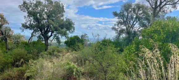 Terreno en Castell-Platja d'Aro, Spain 2075 m² No. 114838 23