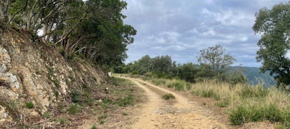 Terreno en Castell-Platja d'Aro, Spain 2075 m² No. 114838 21