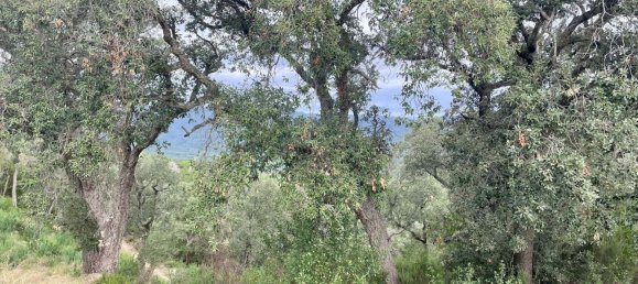 Terreno en Castell-Platja d'Aro, Spain 2075 m² No. 114838 29