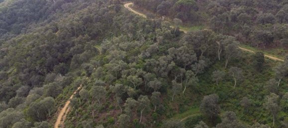 Terreno en Castell-Platja d'Aro, Spain 2075 m² No. 114838 16