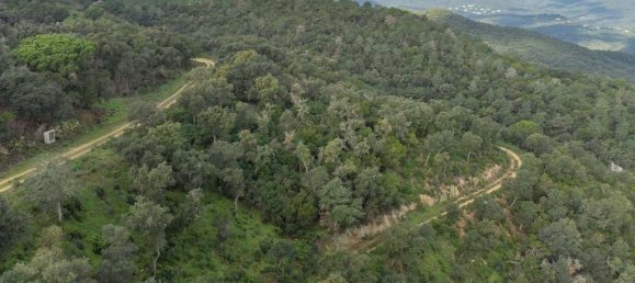 Terreno en Castell-Platja d'Aro, Spain 2075 m² No. 114838 19