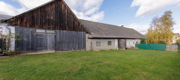 Коммерческая недвижимость с 7 комнатами в Гросдитманс, Австрия № 170634 7