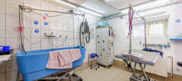 Коммерческая недвижимость с 7 комнатами в Гросдитманс, Австрия № 170634 22