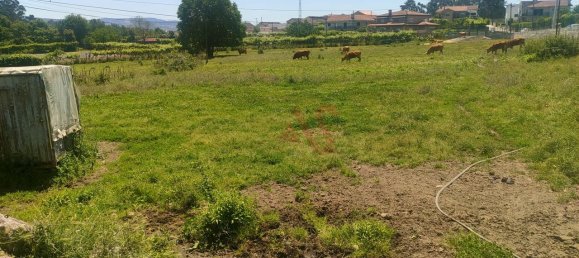 4 bedrooms House in Lousada, Portugal No. 13251 3