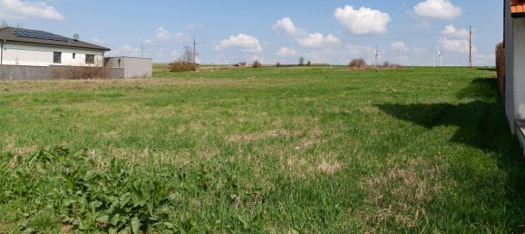  Land in Neusiedl am See, Austria No. 165312 3