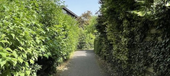 Бунгало с 4 комнатами в Рейн-Зиг, Германия № 197023 29