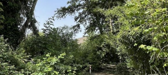 Бунгало с 4 комнатами в Рейн-Зиг, Германия № 197023 4