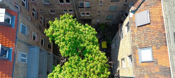 2 bedrooms Apartment in Mannheim, Germany No. 348480 9