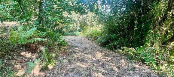 4 bedrooms House in Arcos de Valdevez, Portugal No. 22958 6