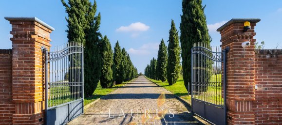 30 rooms Villa in Vignale Monferrato, Italy No. 144801 22