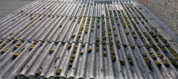 4 غرف نوم منزل في Vogtlandkreis, Germany رقم 337957 10