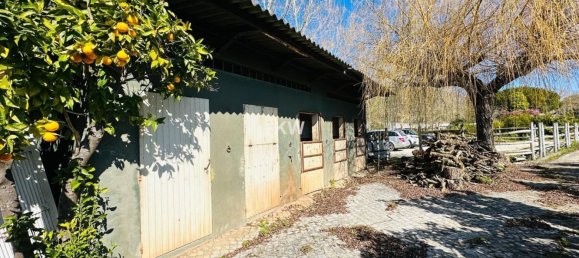 Дом с 17 спальнями в Аленкер, Португалия № 143541 20