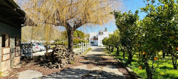 Дом с 17 спальнями в Аленкер, Португалия № 143541 18