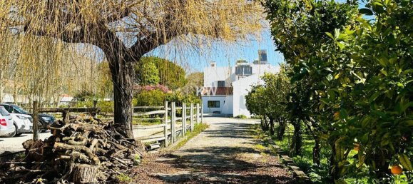 Дом с 17 спальнями в Аленкер, Португалия № 143541 21