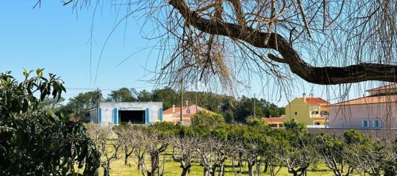 Дом с 17 спальнями в Аленкер, Португалия № 143541 32