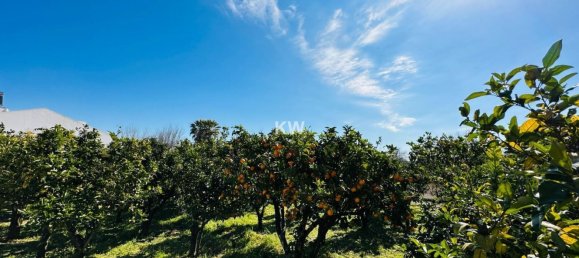 Дом с 17 спальнями в Аленкер, Португалия № 143541 13